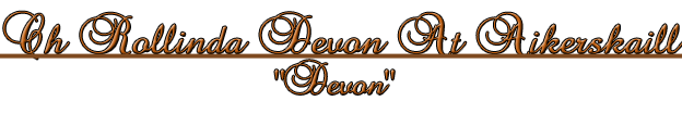 devon