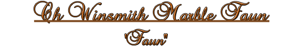 faun