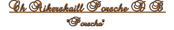 Porscha