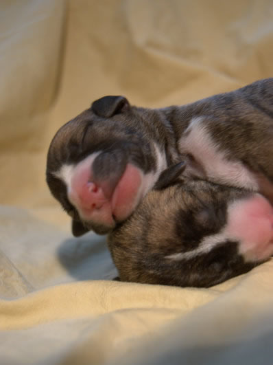 New Borns